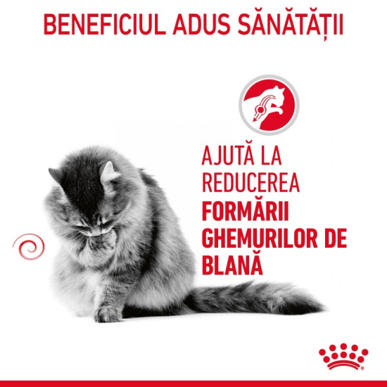 Royal Canin Hairball Care – Hrană Umedă Premium pentru Pisici, în Gelatină, pentru Reducerea Ghemotoacelor de Păr, 85 g